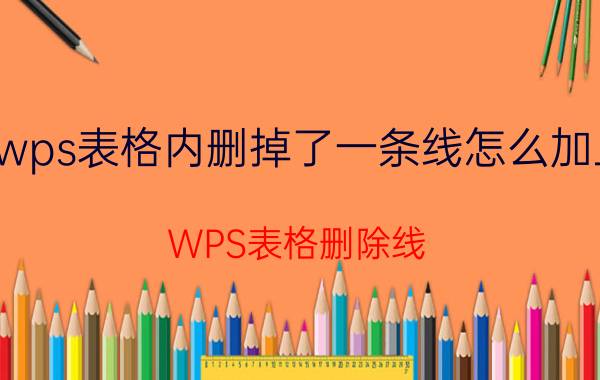 wps表格内删掉了一条线怎么加上 WPS表格删除线